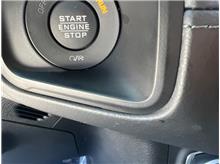 Vehicle Thumb #19