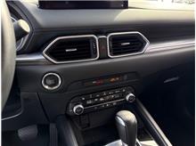 Vehicle Thumb #17