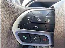Vehicle Thumb #25