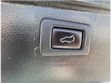 Vehicle Thumb #60