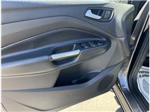 Vehicle Thumb #61