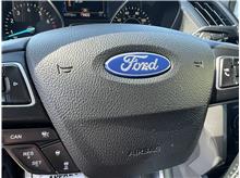 Vehicle Thumb #72