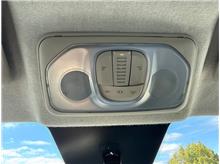 Vehicle Thumb #38