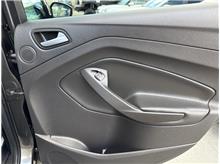 Vehicle Thumb #53