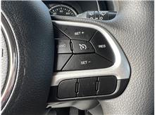Vehicle Thumb #69