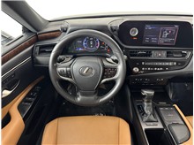 Vehicle Thumb #14