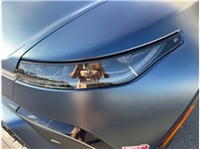 Vehicle Thumb #20
