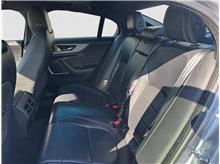 Vehicle Thumb #11
