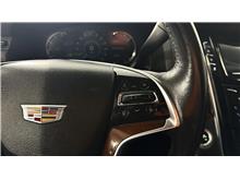 Vehicle Thumb #31