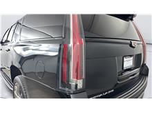 Vehicle Thumb #42