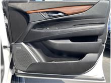 Vehicle Thumb #11