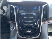 Vehicle Thumb #72