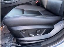 Vehicle Thumb #11