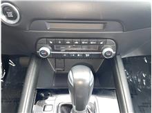 Vehicle Thumb #49
