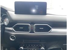 Vehicle Thumb #79