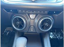 Vehicle Thumb #48