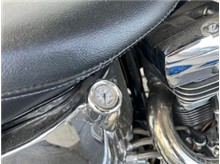 Vehicle Thumb #10