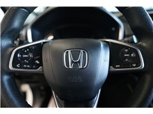 Vehicle Thumb #19