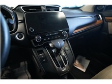 Vehicle Thumb #20