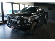 Vehicle Thumb #3