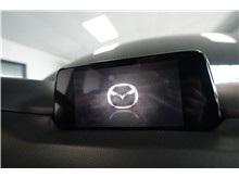 Vehicle Thumb #23