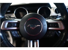 Vehicle Thumb #16
