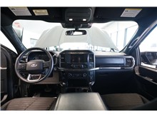 Vehicle Thumb #13