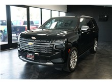 Vehicle Thumb #3
