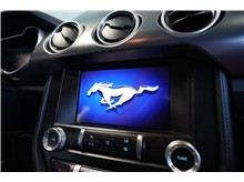 Vehicle Thumb #19
