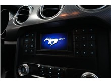 Vehicle Thumb #18