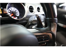Vehicle Thumb #20