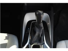 Vehicle Thumb #14
