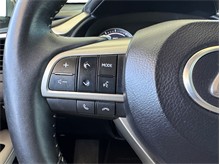 Vehicle Thumb #14