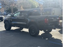 Vehicle Thumb #12