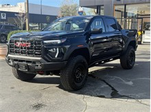 Vehicle Thumb #3