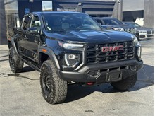 Vehicle Thumb #6