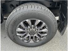 Vehicle Thumb #18
