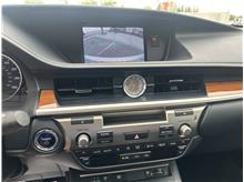 Vehicle Thumb #21