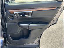 Vehicle Thumb #19