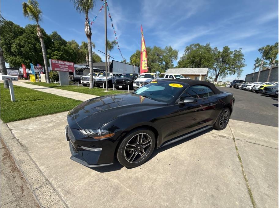 2023 Ford Mustang from Dealers Choice V