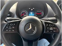 Vehicle Thumb #13