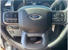 Vehicle Thumb #17