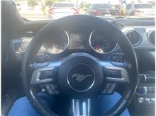 Vehicle Thumb #13