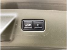 Vehicle Thumb #24