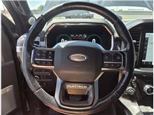 Vehicle Thumb #15