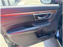 Vehicle Thumb #15
