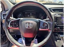 Vehicle Thumb #19