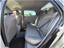 Vehicle Thumb #10