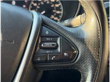 Vehicle Thumb #15