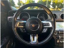 Vehicle Thumb #17